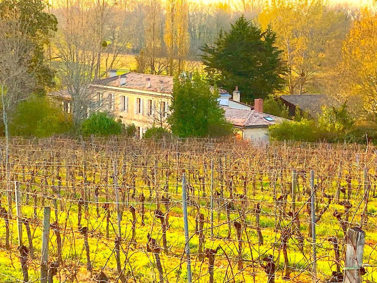 Willa Fabuleux - Domaine Du Moulin D'Andraut Bordeaux-Chevaux-Golf-St Emilion Montussan Zewnętrze zdjęcie